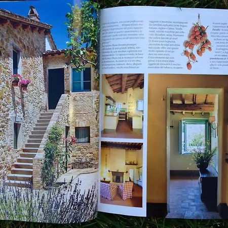 팜스테이 Pian Del Tevere