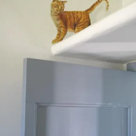 Pian Del Tevere 팜스테이 토르지아노