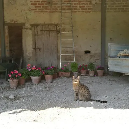 Pian Del Tevere مزرعة للإقامة *